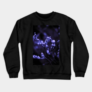 Near the Marsh Crewneck Sweatshirt